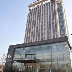 菏泽酒店爆料视频播放,揭秘酒店内幕，真相令人震惊